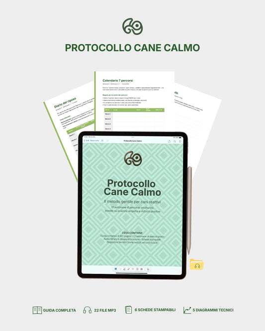 Protocollo Cane Calmo — Programma di 12 settimane per cani  reattivi