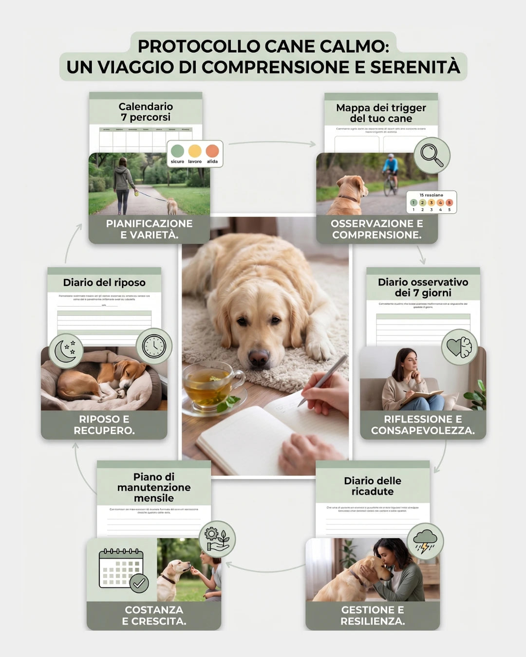 Protocollo Cane Calmo — Programma di 12 settimane per cani  reattivi